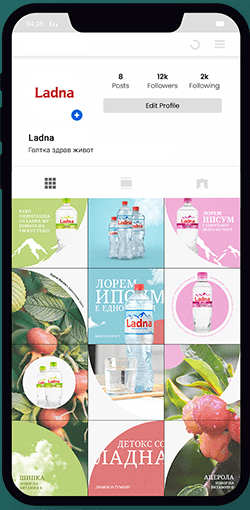 Instagram feed on a phone with a pink and green Ladna grid