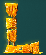 Teaser: the letter L made of dripping honeycomb